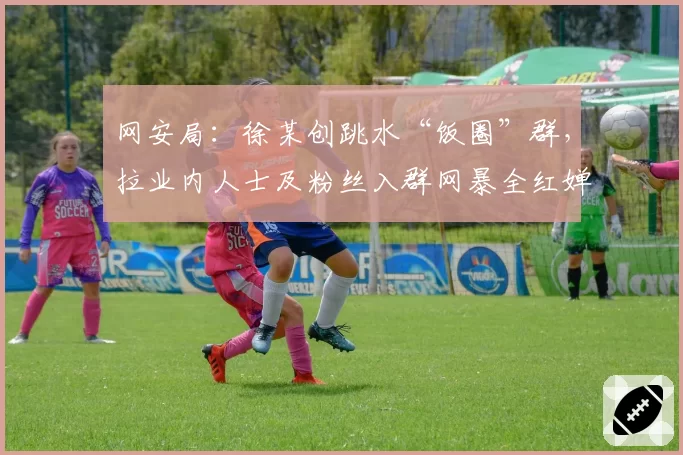 网安局:徐某创跳水“饭圈”群,拉业内人士及粉丝入群网暴全红婵